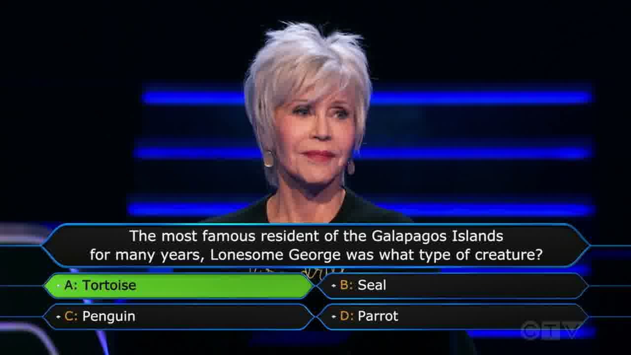 Answer Screenshot